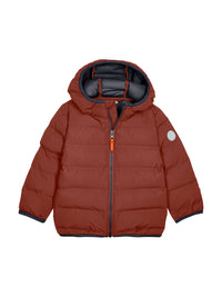 chestnut
